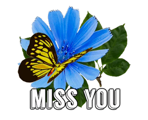 🦋 Стикер «Flowers» для Telegram