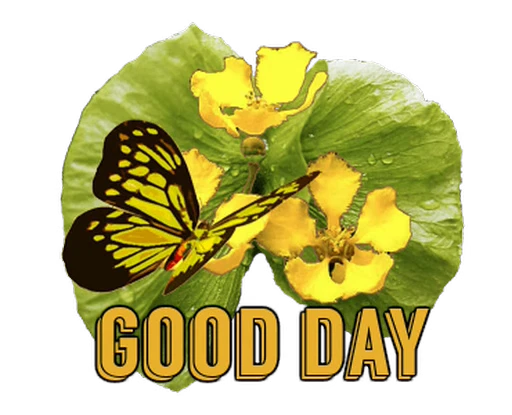 🦋 Стикер «Flowers» для Telegram
