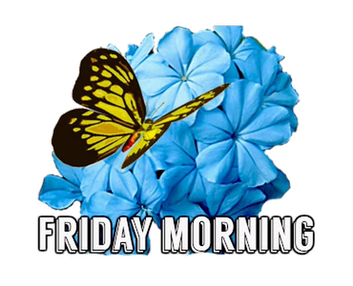 🦋 Стикер «Flowers» для Telegram