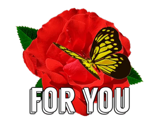 🦋 Стикер «Flowers» для Telegram