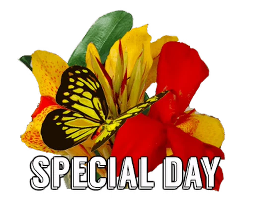 🦋 Стикер «Flowers» для Telegram