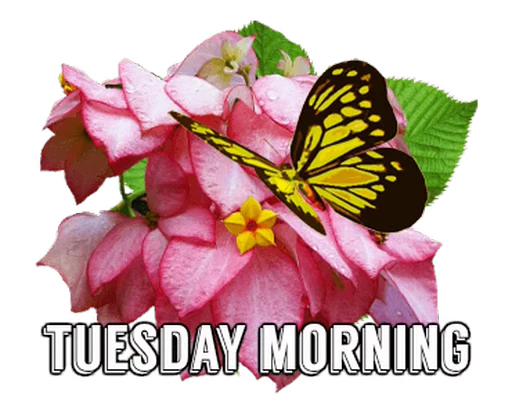 🦋 Стикер «Flowers» для Telegram