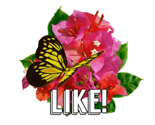 🦋 Стикер «Flowers» для Telegram
