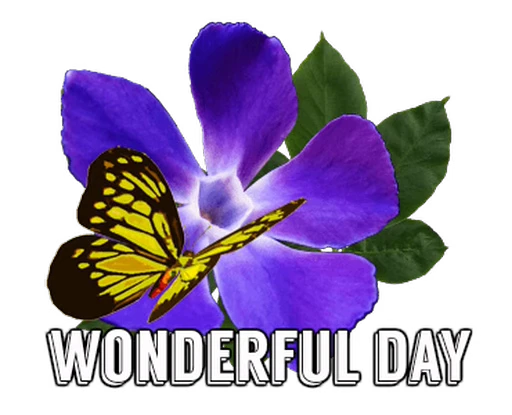 🦋 Стикер «Flowers» для Telegram