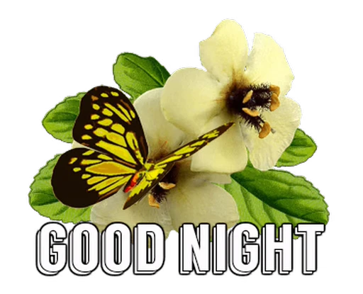 🦋 Стикер «Flowers» для Telegram