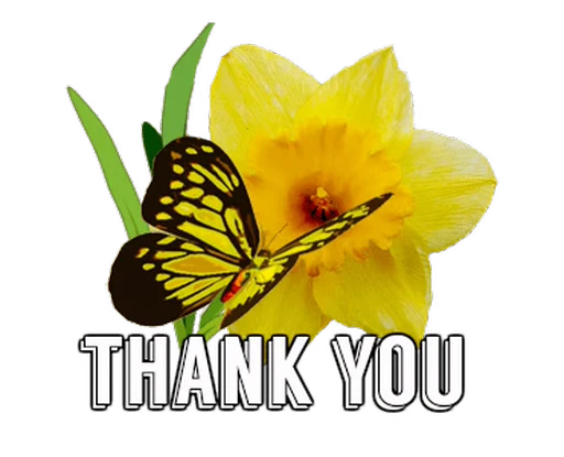 🦋 Стикер «Flowers» для Telegram