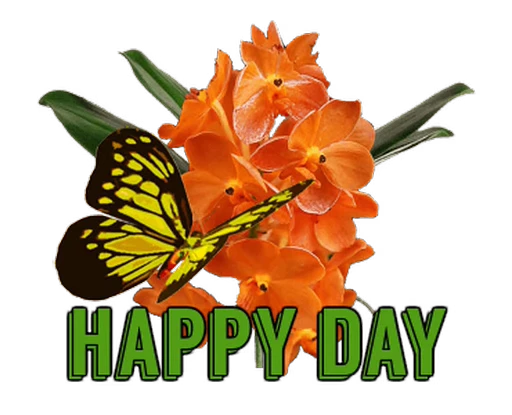🦋 Стикер «Flowers» для Telegram