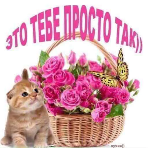 😘 Стикер «для вас мои хорошие» для Telegram
