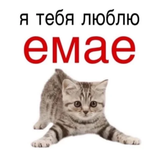 ❤️ Стикер «для вас мои хорошие» для Telegram