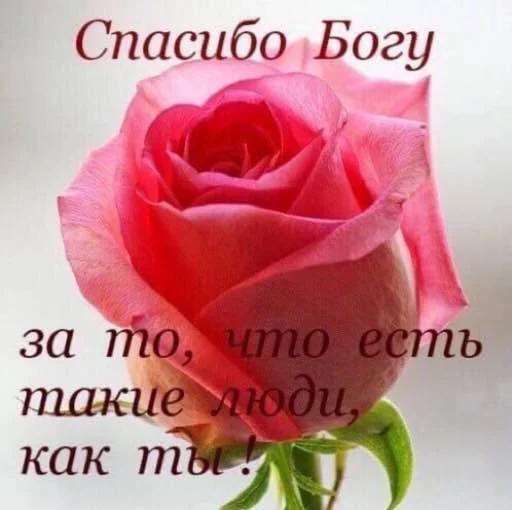 😘 Стикер «для вас мои хорошие» для Telegram