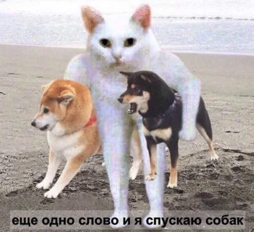 🙄 Стикер «для вас мои хорошие» для Telegram