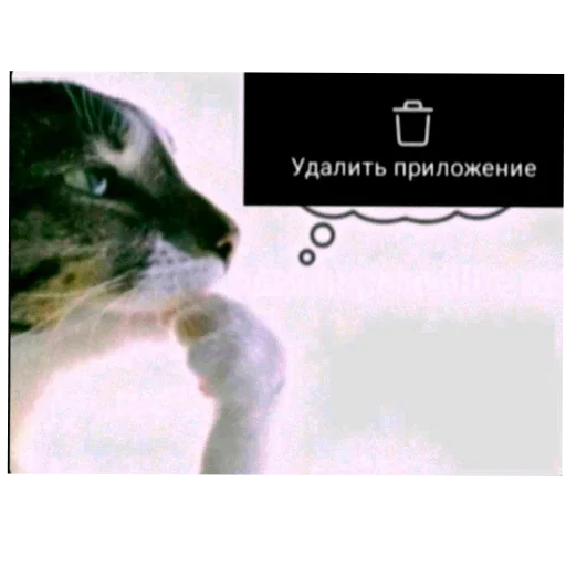 Стикер 14 Стикерпак