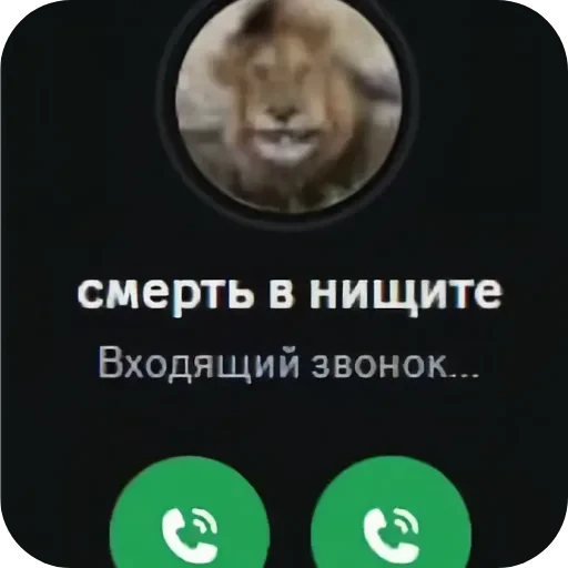 ❤ Стикер «Фотки с ТТ» для Telegram