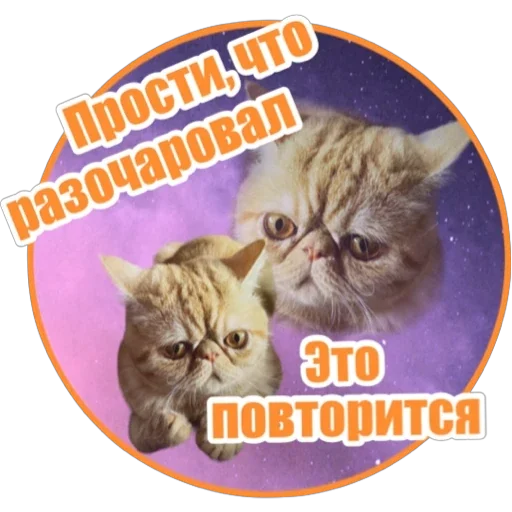 🤨 Стикер «Фокс» для Telegram