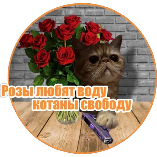 🌹 Стикер «Фокс» для Telegram