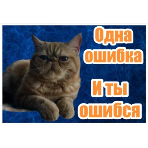 😡 Стикер «Фокс» для Telegram