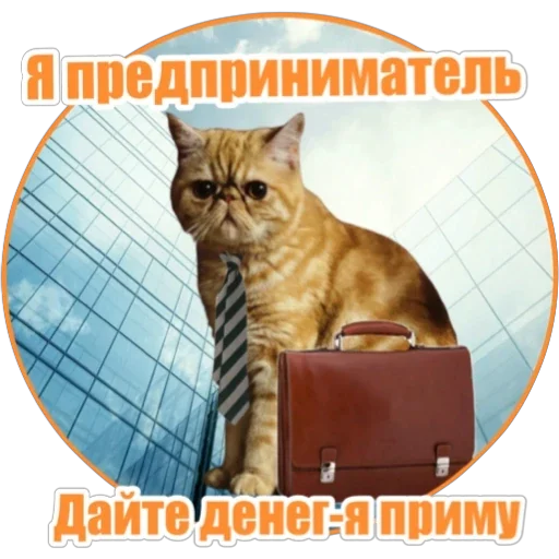 💵 Стикер «Фокс» для Telegram