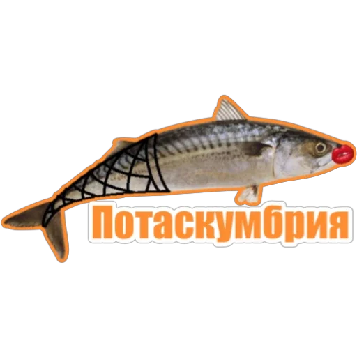 😂 Стикер «Фокс» для Telegram