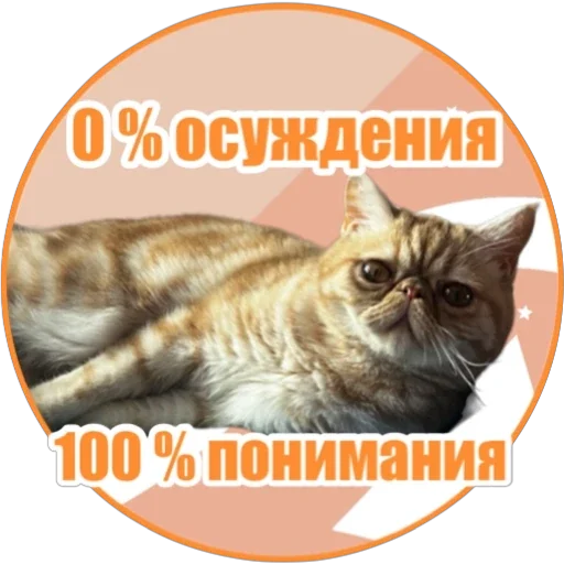 🤓 Стикер «Фокс» для Telegram