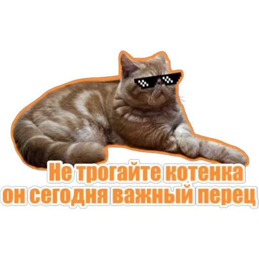 😎 Стикер «Фокс» для Telegram