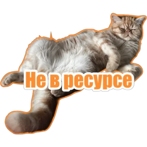🙄 Стикер «Фокс» для Telegram