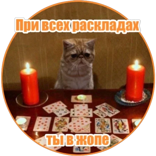 😟 Стикер «Фокс» для Telegram