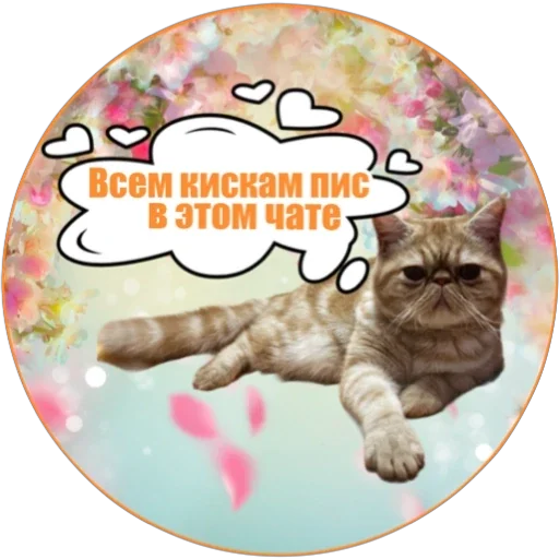 ✌ Стикер «Фокс» для Telegram
