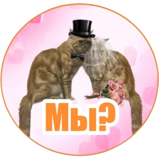 ❤️ Стикер «Фокс» для Telegram