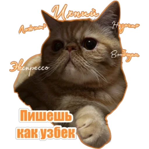 🙂 Стикер «Фокс» для Telegram