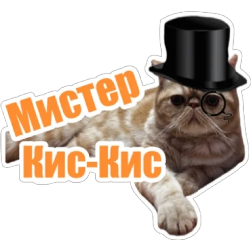 🥸 Стикер «Фокс» для Telegram