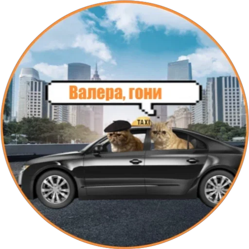 🚕 Стикер «Фокс» для Telegram