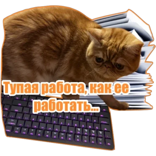 😠 Стикер «Фокс» для Telegram