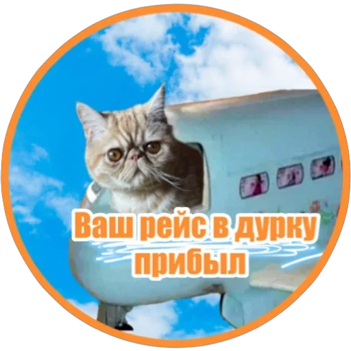 🫡 Стикер «Фокс» для Telegram