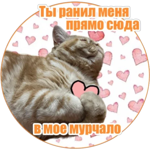 💔 Стикер «Фокс» для Telegram
