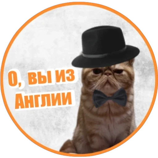 😳 Стикер «Фокс» для Telegram