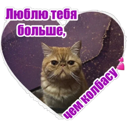 ❤️ Стикер «Фокс» для Telegram