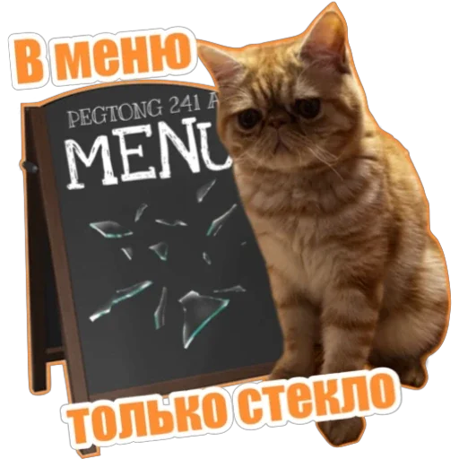 🔎 Стикер «Фокс» для Telegram