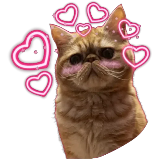❤️ Стикер «Фокс» для Telegram