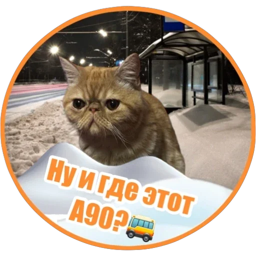 🚌 Стикер «Фокс» для Telegram