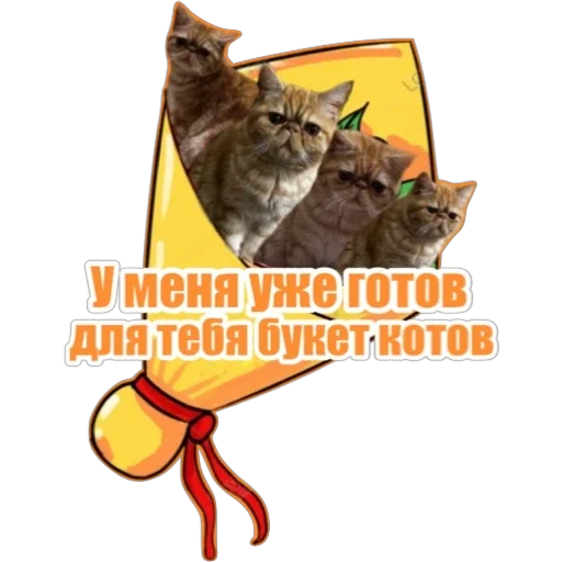 💐 Стикер «Фокс» для Telegram