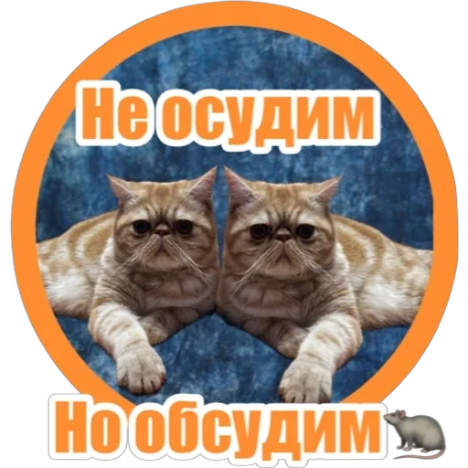 Стикерпак Фокс для Telegram