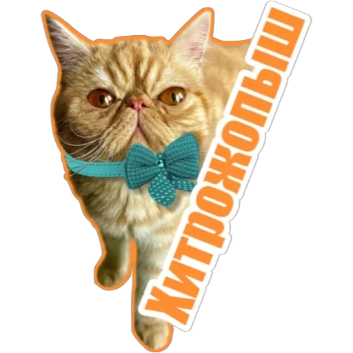 ☺️ Стикер «Фокс» для Telegram
