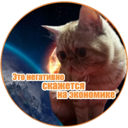 💥 Стикер «Фокс» для Telegram