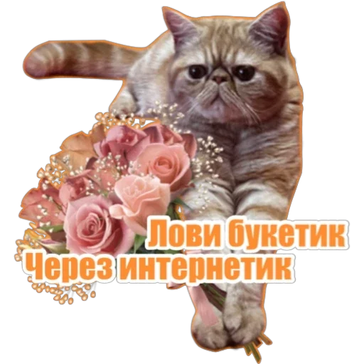 💐 Стикер «Фокс» для Telegram
