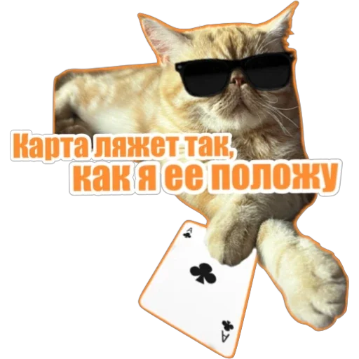 ♥️ Стикер «Фокс» для Telegram
