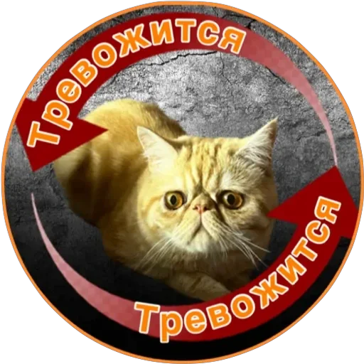 😰 Стикер «Фокс» для Telegram