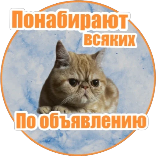 😘 Стикер «Фокс» для Telegram