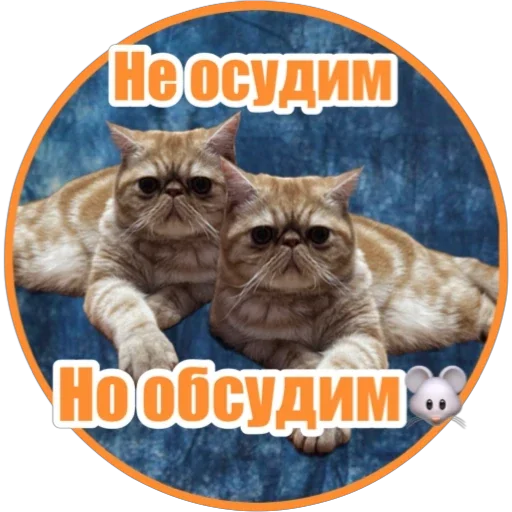 🐀 Стикер «Фокс» для Telegram