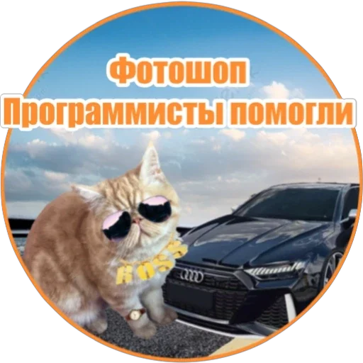 🧑‍💻 Стикер «Фокс» для Telegram