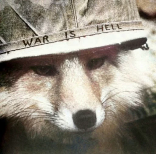 🦊 Стикер «Fox» для Telegram